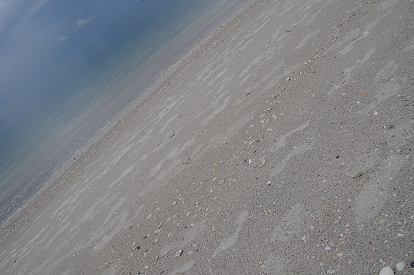 HKMM_2262.jpg (4288x2848) NIKON D300 - 18-200mm f/3.5-5.6 // F7,1 // 1/200 sec // ISO 400 // 18,0 mm // no Flash // 2008:12:08 18:30:00