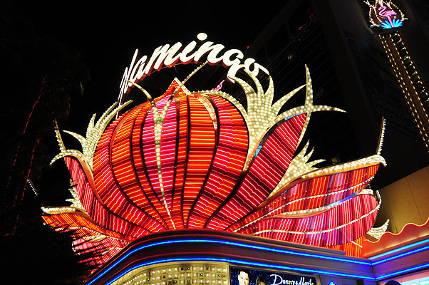 DSC_0136.jpg (4288x2848) NIKON D300 - 18-200mm f/3.5-5.6 // F3,5 // 1/30 sec // ISO 400 // 20,0 mm // no Flash // 2008:07:03 23:06:12