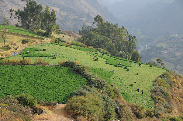 P0334.jpg (4288x2848) NIKON D300 - 18-200mm f/3.5-5.6 // F7,1 // 1/320 sec // ISO 200 // 52,0 mm // no Flash // 2010:08:29 16:26:34