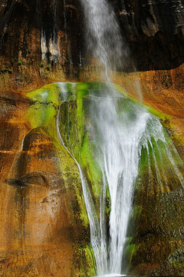 DSC_2238.jpg (4288x2848) NIKON D300 - 18-200mm f/3.5-5.6 // F22 // 0.04 sec // ISO 200 // 35,0 mm // no Flash // 2008:07:14 10:18:42