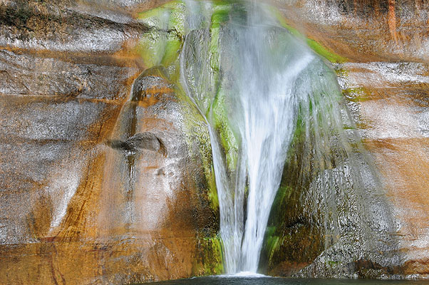 DSC_2251.jpg (4288x2848) NIKON D300 - 18-200mm f/3.5-5.6 // F29 // 0.05 sec // ISO 200 // 34,0 mm // no Flash // 2008:07:14 10:30:09