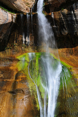 DSC_2252.jpg (4288x2848) NIKON D300 - 18-200mm f/3.5-5.6 // F25 // 0.05 sec // ISO 200 // 34,0 mm // no Flash // 2008:07:14 10:31:23