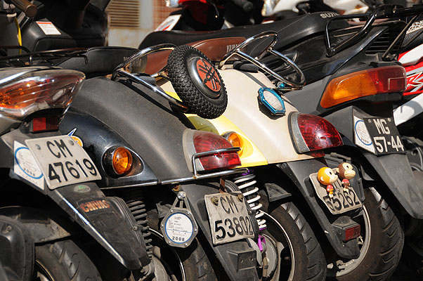 HKMM_1277.jpg (4288x2848) NIKON D300 - 18-200mm f/3.5-5.6 // F5,3 // 1/1000 sec // ISO 720 // 90,0 mm // no Flash // 2008:12:02 14:17:36