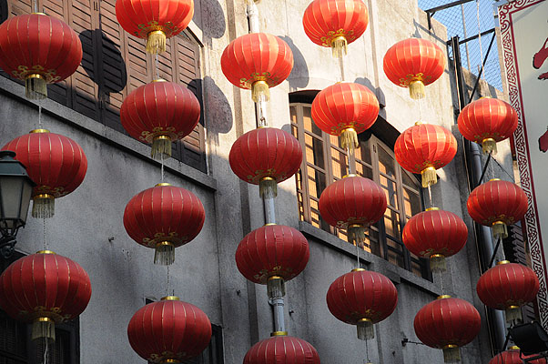 HKMM_1355.jpg (4288x2848) NIKON D300 - 18-200mm f/3.5-5.6 // F5 // 1/800 sec // ISO 1600 // 80,0 mm // no Flash // 2008:12:02 16:08:38