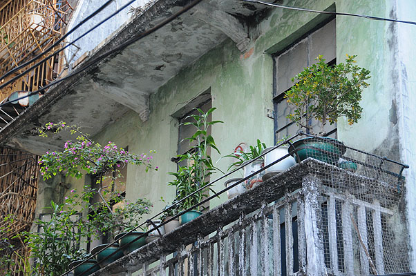 HKMM_1366.jpg (4288x2848) NIKON D300 - 18-200mm f/3.5-5.6 // F4,8 // 1/80 sec // ISO 1600 // 60,0 mm // no Flash // 2008:12:02 16:19:04