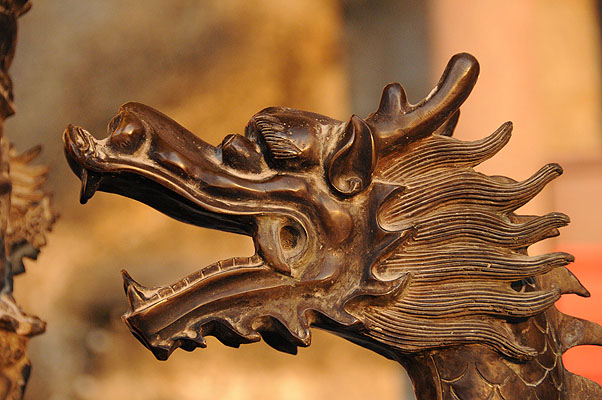 HKMM_1392.jpg (4288x2848) NIKON D300 - 18-200mm f/3.5-5.6 // F5,3 // 1/400 sec // ISO 1600 // 95,0 mm // no Flash // 2008:12:02 17:06:40