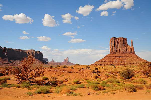 DSC_1447.jpg (4288x2848) NIKON D300 - 18-200mm f/3.5-5.6 // F8 // 1/250 sec // ISO 200 // 22,0 mm // no Flash // 2008:07:08 16:10:05