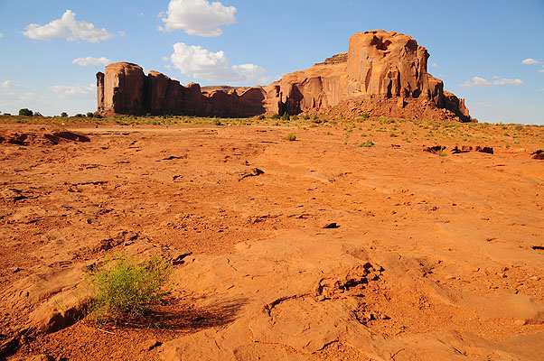 DSC_1483.jpg (4288x2848) NIKON D300 - 18-200mm f/3.5-5.6 // F8 // 1/250 sec // ISO 200 // 18,0 mm // no Flash // 2008:07:08 17:00:12