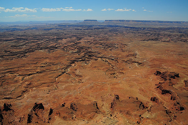 DSC_1620.jpg (4288x2848) NIKON D300 - 18-200mm f/3.5-5.6 // F10 // 1/400 sec // ISO 400 // 18,0 mm // no Flash // 2008:07:09 14:46:36 DSC_1620.jpg (4288x2848) NIKON D300 - 18-200mm f/3.5-5.6 // F10 // 1/400 sec // ISO 400 // 18,0 mm // no Flash // 2008:07:09 14:46:36