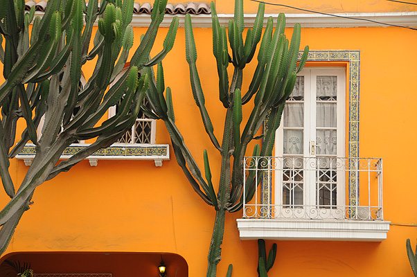 P0042.jpg (4288x2848) NIKON D300 - 18-200mm f/3.5-5.6 // F5 // 1/320 sec // ISO 320 // 65,0 mm // no Flash // 2010:08:28 09:40:49