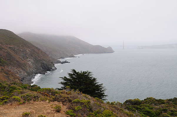 DSC_3837.jpg (4288x2848) NIKON D300 - 18-200mm f/3.5-5.6 // F9 // 1/320 sec // ISO 400 // 26,0 mm // no Flash // 2008:07:24 13:52:22