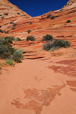 DSC_2713.jpg (4288x2848) NIKON D300 - 18-200mm f/3.5-5.6 // F9 // 1/320 sec // ISO 200 // 22,0 mm // no Flash // 2008:07:17 09:07:52