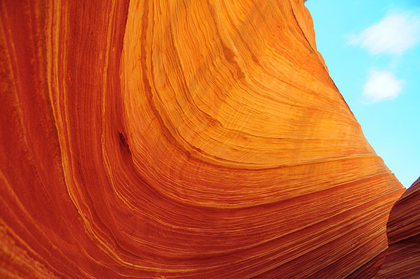 DSC_2802.jpg (4288x2848) NIKON D300 - 18-200mm f/3.5-5.6 // F5,6 // 1/125 sec // ISO 200 // 18,0 mm // no Flash // 2008:07:17 11:13:49