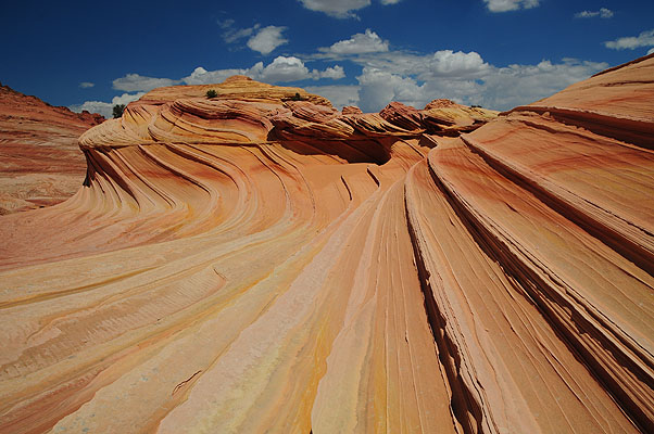 DSC_2867.jpg (4288x2848) NIKON D300 - 18-200mm f/3.5-5.6 // F10 // 1/400 sec // ISO 200 // 18,0 mm // no Flash // 2008:07:17 12:01:36