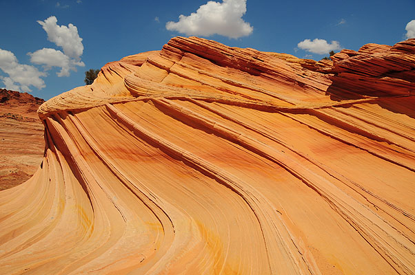 DSC_2882.jpg (4288x2848) NIKON D300 - 18-200mm f/3.5-5.6 // F9 // 1/320 sec // ISO 200 // 18,0 mm // no Flash // 2008:07:17 12:12:35