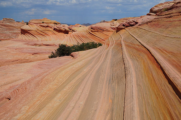 DSC_2890.jpg (4288x2848) NIKON D300 - 18-200mm f/3.5-5.6 // F10 // 1/400 sec // ISO 200 // 27,0 mm // no Flash // 2008:07:17 12:32:03