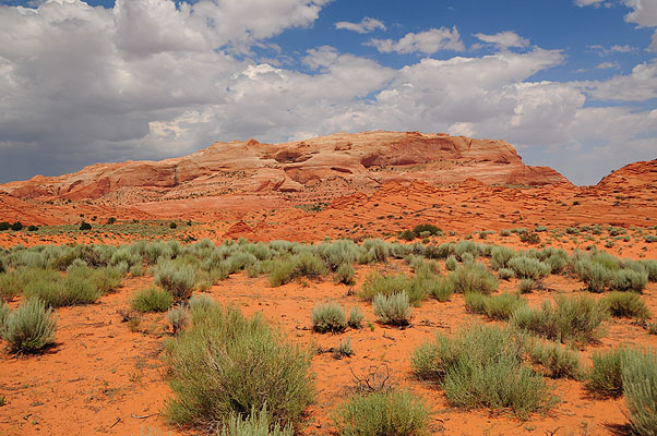 DSC_2947.jpg (4288x2848) NIKON D300 - 18-200mm f/3.5-5.6 // F9 // 1/320 sec // ISO 200 // 20,0 mm // no Flash // 2008:07:17 14:03:13