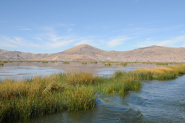 P3731.jpg (4288x2848) NIKON D300 - 18-200mm f/3.5-5.6 // F9 // 1/320 sec // ISO 200 // 29,0 mm // no Flash // 2010:09:13 07:35:18