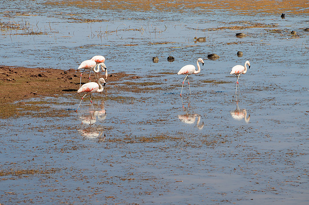 P3944.jpg (4288x2848) NIKON D300 - 18-200mm f/3.5-5.6 // F10 // 1/400 sec // ISO 200 // 200,0 mm // no Flash // 2010:09:14 09:17:22