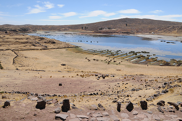 P3959.jpg (4288x2848) NIKON D300 - 18-200mm f/3.5-5.6 // F10 // 1/400 sec // ISO 200 // 22,0 mm // no Flash // 2010:09:14 09:31:56