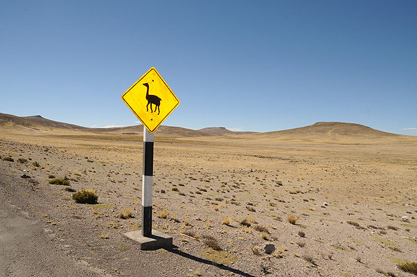 P4058.jpg (4288x2848) NIKON D300 - 18-200mm f/3.5-5.6 // F13 // 1/250 sec // ISO 200 // 18,0 mm // Flash fired, return detected // 2010:09:14 14:12:12