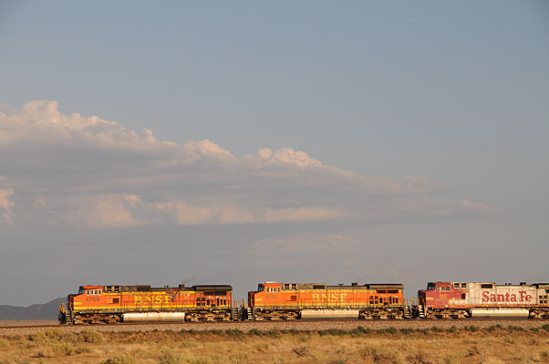 DSC_0649.jpg (4288x2848) NIKON D300 - 18-200mm f/3.5-5.6 // F9 // 1/320 sec // ISO 400 // 90,0 mm // no Flash // 2008:07:04 18:56:49