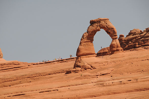 DSC_1821.jpg (4288x2848) NIKON D300 - 18-200mm f/3.5-5.6 // F9 // 1/320 sec // ISO 400 // 200,0 mm // no Flash // 2008:07:10 10:49:53