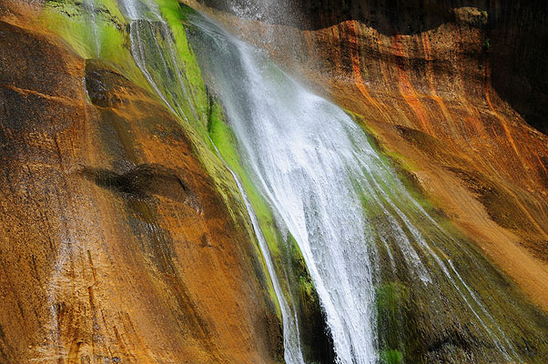 DSC_2270.jpg (4288x2848) NIKON D300 - 18-200mm f/3.5-5.6 // F8 // 1/250 sec // ISO 200 // 32,0 mm // no Flash // 2008:07:14 10:53:36