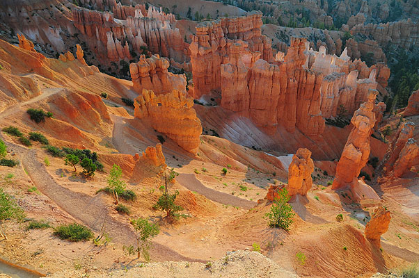 DSC_2427.jpg (4288x2848) NIKON D300 - 18-200mm f/3.5-5.6 // F5,6 // 1/125 sec // ISO 400 // 18,0 mm // no Flash // 2008:07:15 06:03:20