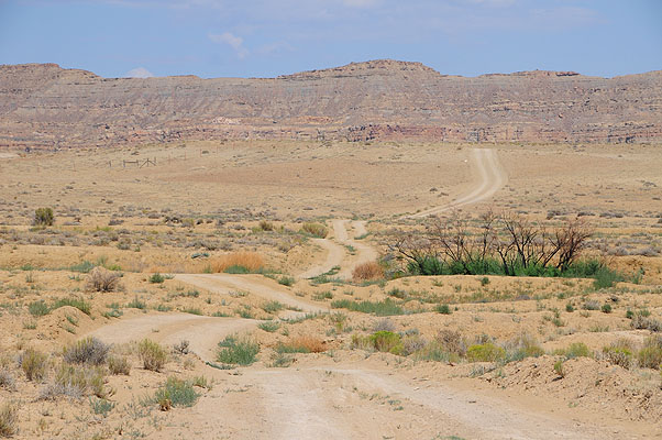 DSC_2628.jpg (4288x2848) NIKON D300 - 18-200mm f/3.5-5.6 // F9 // 1/320 sec // ISO 200 // 82,0 mm // no Flash // 2008:07:16 15:05:42