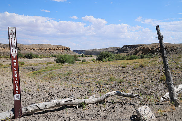 DSC_2630.jpg (4288x2848) NIKON D300 - 18-200mm f/3.5-5.6 // F8 // 1/250 sec // ISO 200 // 22,0 mm // no Flash // 2008:07:16 15:16:41