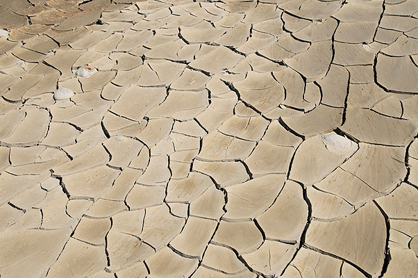 DSC_2633.jpg (4288x2848) NIKON D300 - 18-200mm f/3.5-5.6 // F8 // 1/250 sec // ISO 200 // 32,0 mm // no Flash // 2008:07:16 15:21:03