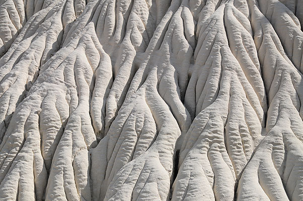 DSC_2640.jpg (4288x2848) NIKON D300 - 18-200mm f/3.5-5.6 // F8 // 1/250 sec // ISO 200 // 55,0 mm // no Flash // 2008:07:16 15:44:57