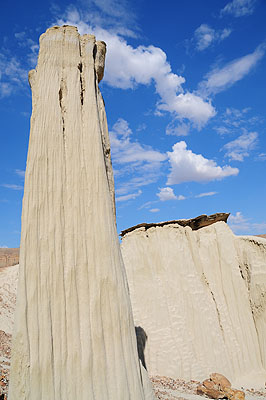 DSC_2654.jpg (4288x2848) NIKON D300 - 18-200mm f/3.5-5.6 // F8 // 1/250 sec // ISO 200 // 18,0 mm // no Flash // 2008:07:16 15:54:50