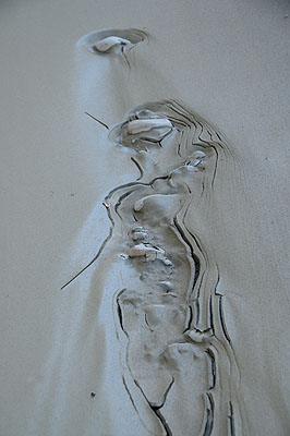 DSC_2691.jpg (4288x2848) NIKON D300 - 18-200mm f/3.5-5.6 // F5 // 0.01 sec // ISO 200 // 55,0 mm // no Flash // 2008:07:16 16:28:23