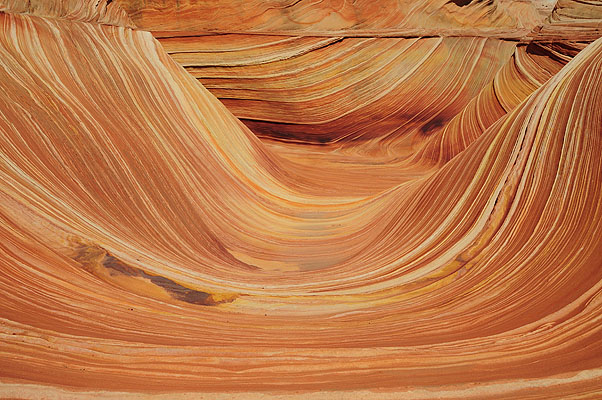 The Wave in Coyote Buttes, Vermilion Cliffs Park